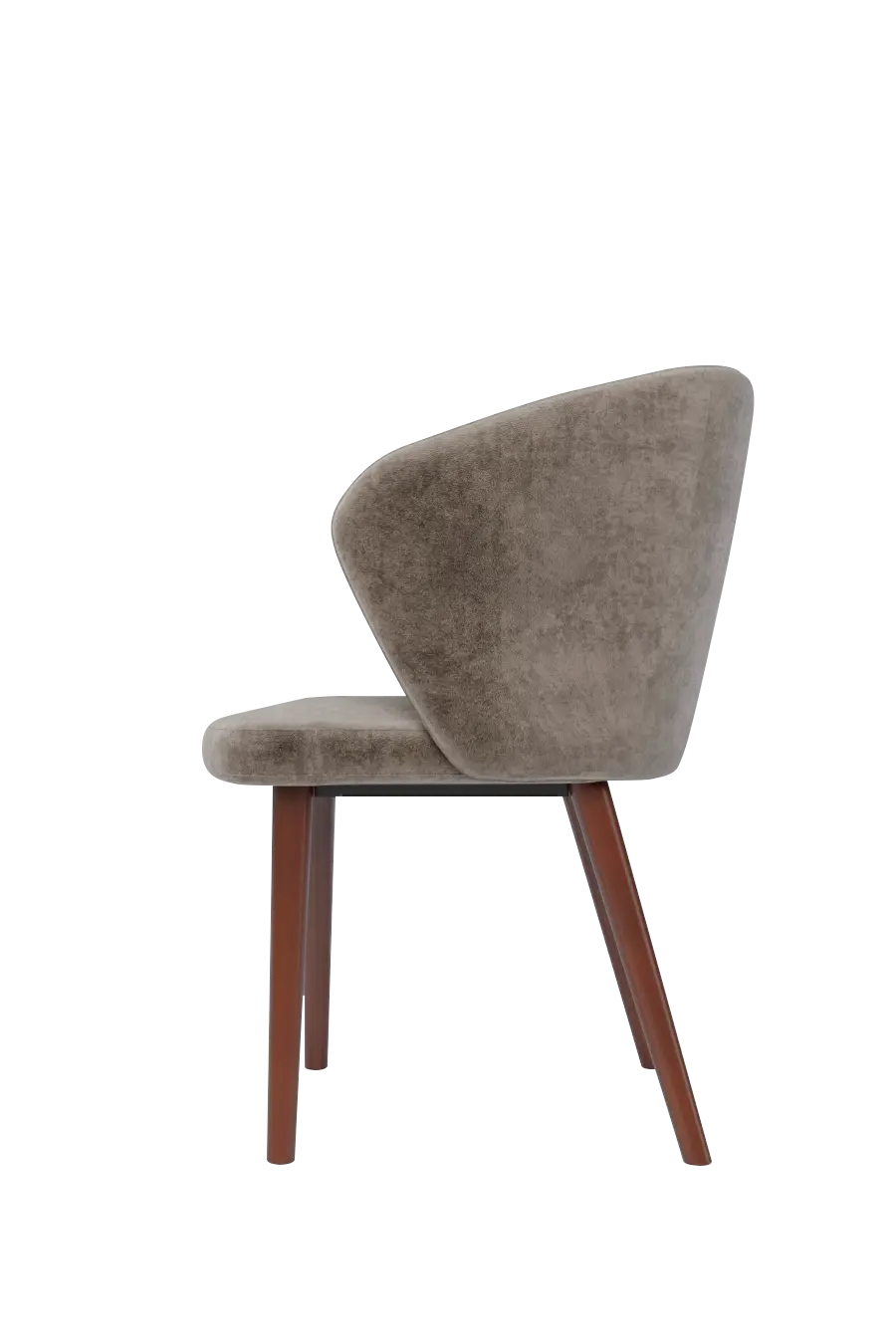 Veneto Italia Chairs India Chair