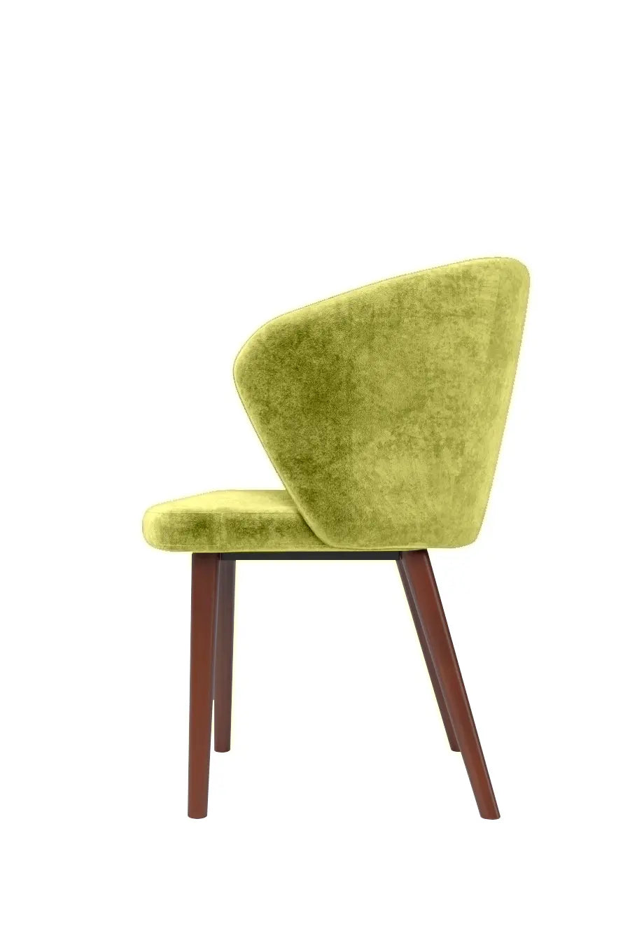 Veneto Italia Chairs India Chair